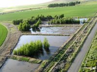 Managing Farm Water Quality