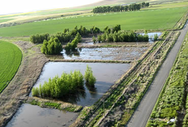 Managing Farm Water Quality