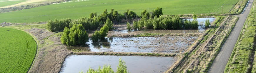 Managing Farm Water Quality