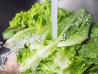 Importance of Checking Water for E coli