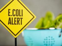 E coli Test Kits: Testing for E.Coli Bacterium in Drinking Water